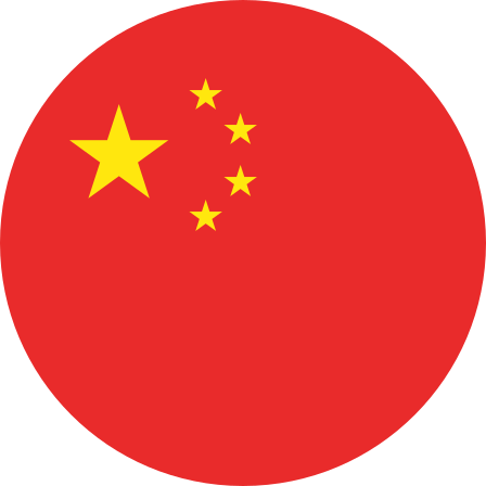 中文 (中国)
